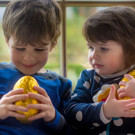 Cliff At Lyons Hotel Celbridge