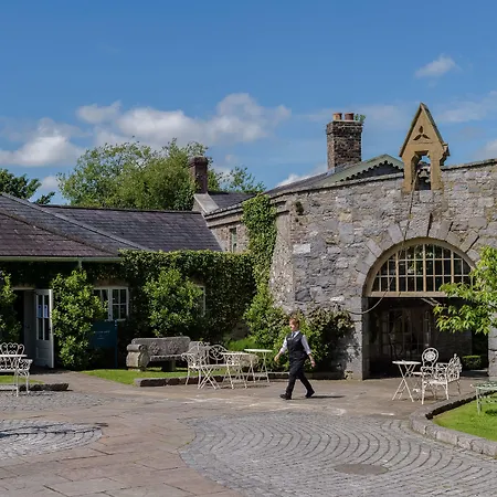 Cliff At Lyons Celbridge