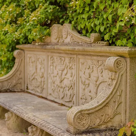 Cliff At Lyons Celbridge