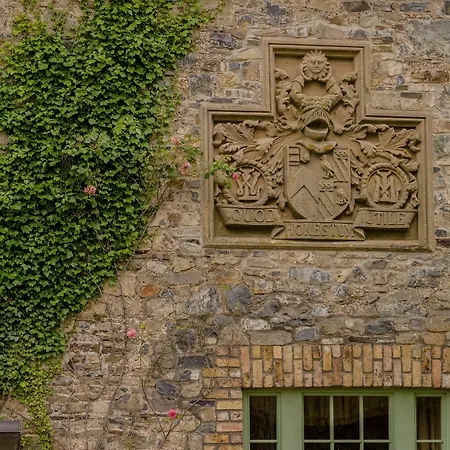 Cliff At Lyons Celbridge