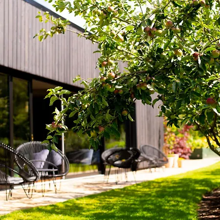 Cliff At Lyons Celbridge