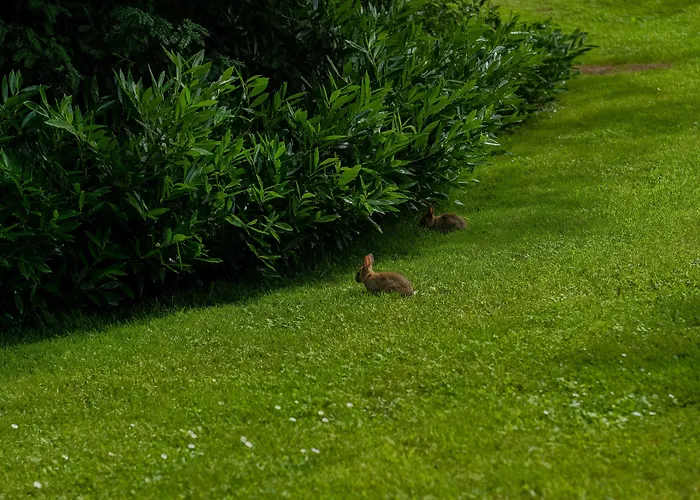 Cliff At Lyons Келбридж