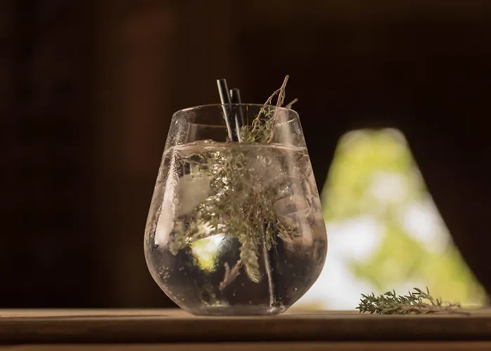 Hotel Cliff At Lyons Celbridge