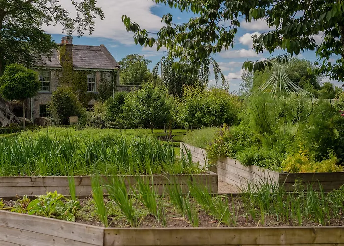 Cliff At Lyons 4* Celbridge