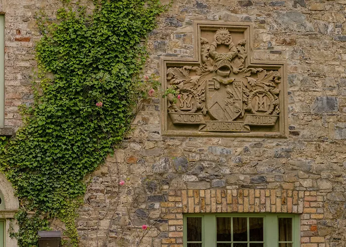 Cliff At Lyons Celbridge