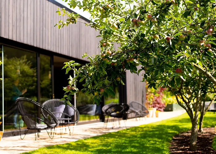 Cliff At Lyons Celbridge